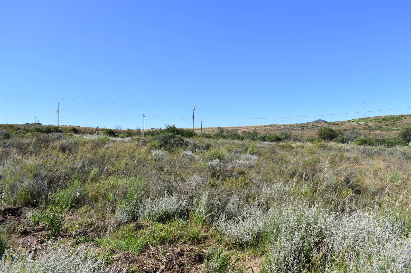 1 ha Land available in Napier photo number 29