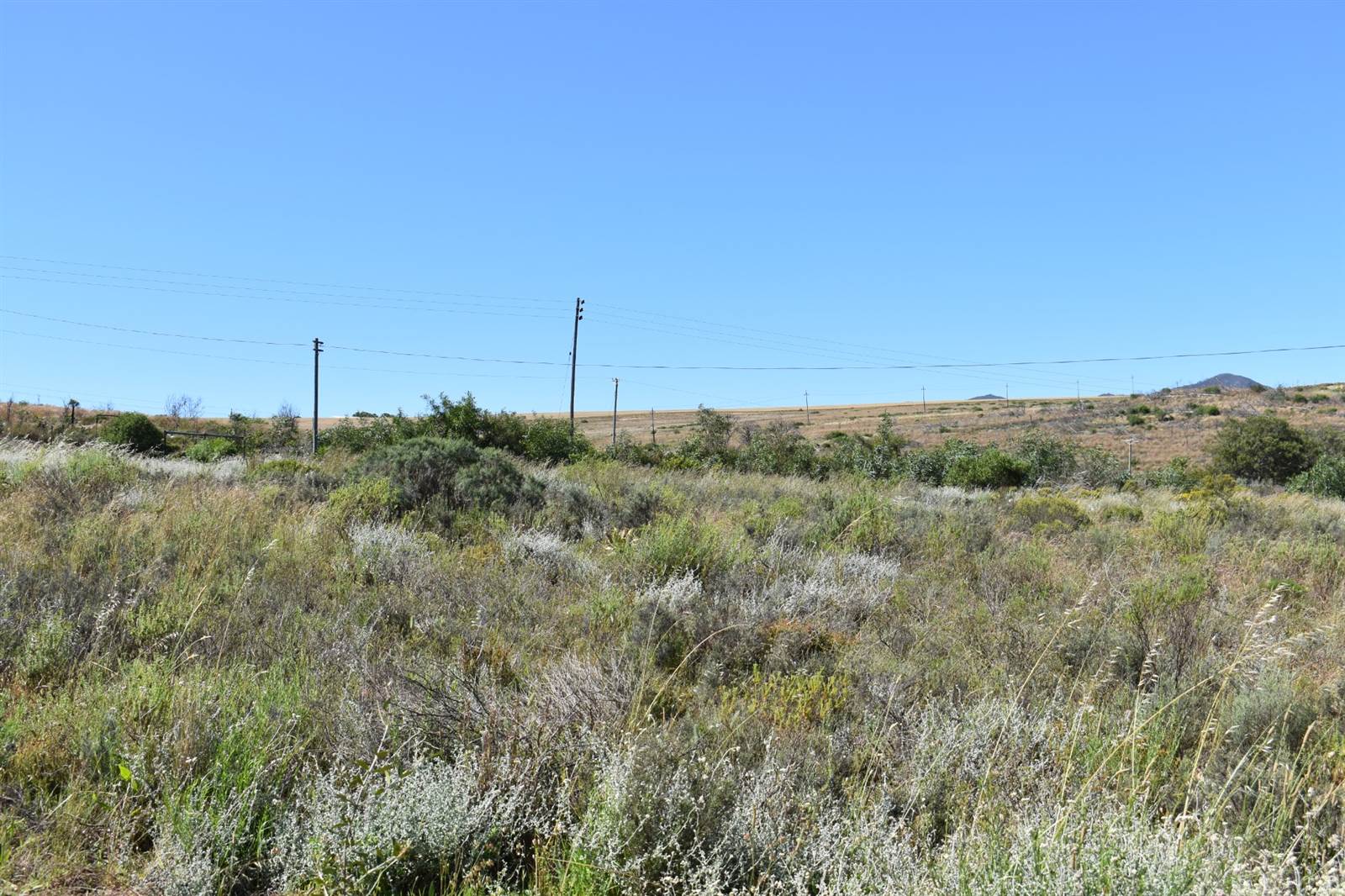 1 ha Land available in Napier photo number 30