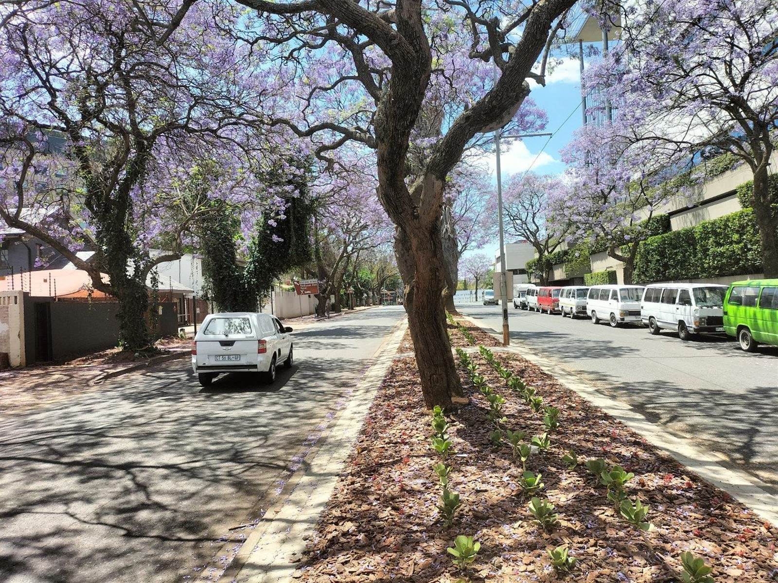 1478 m² Land available in Rosebank photo number 2