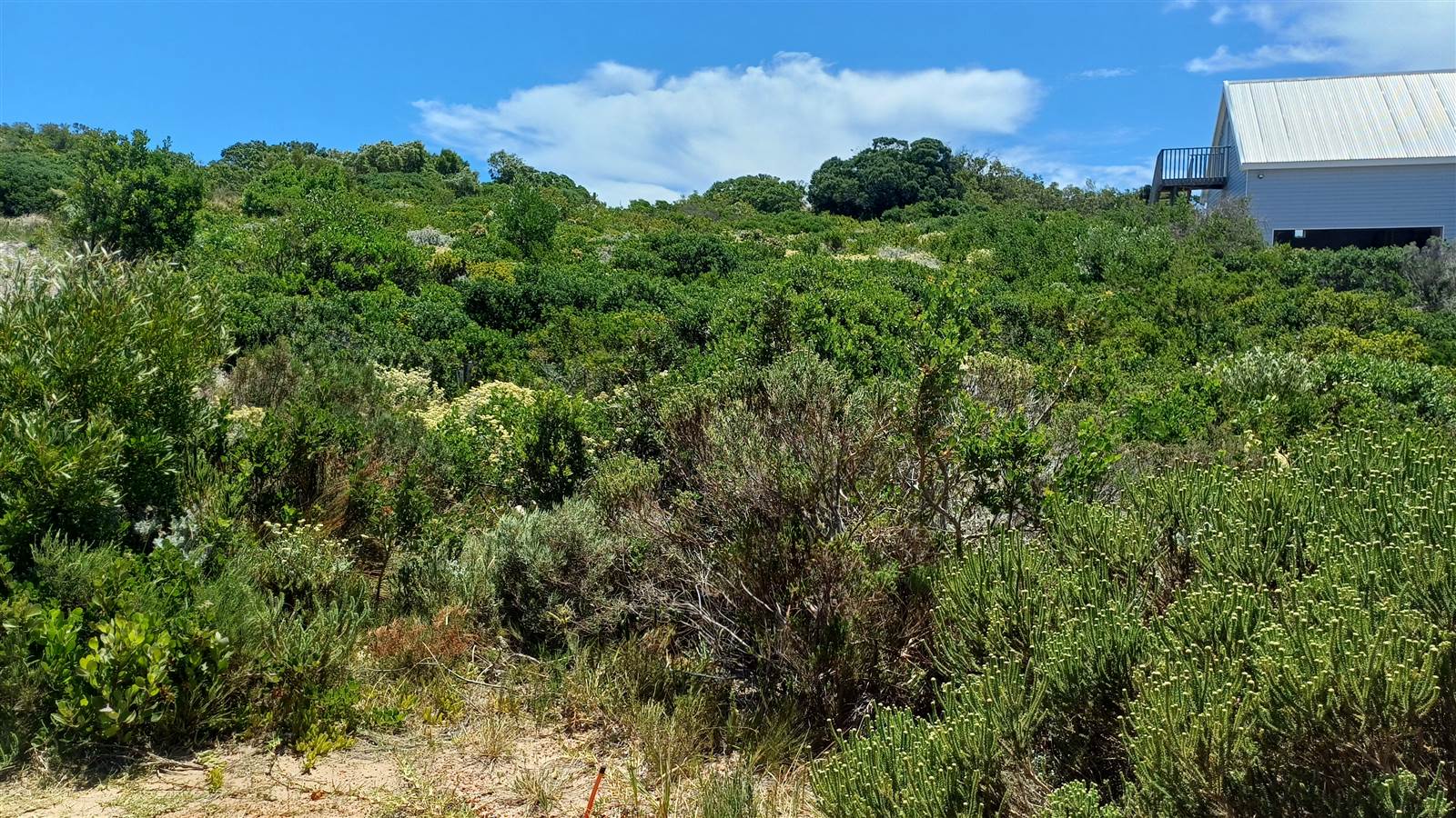 1000 m² Land available in Pringle Bay photo number 2