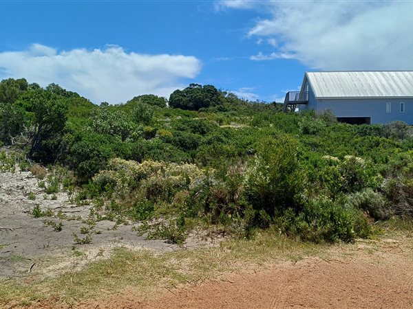 1000 m² Land available in Pringle Bay