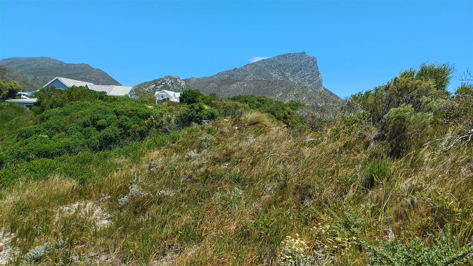 1000 m² Land available in Pringle Bay photo number 7