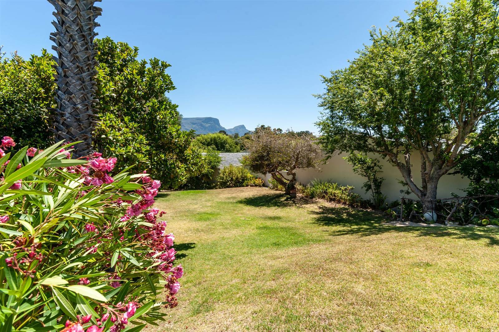 3 Bed House in Constantia Upper  photo number 28