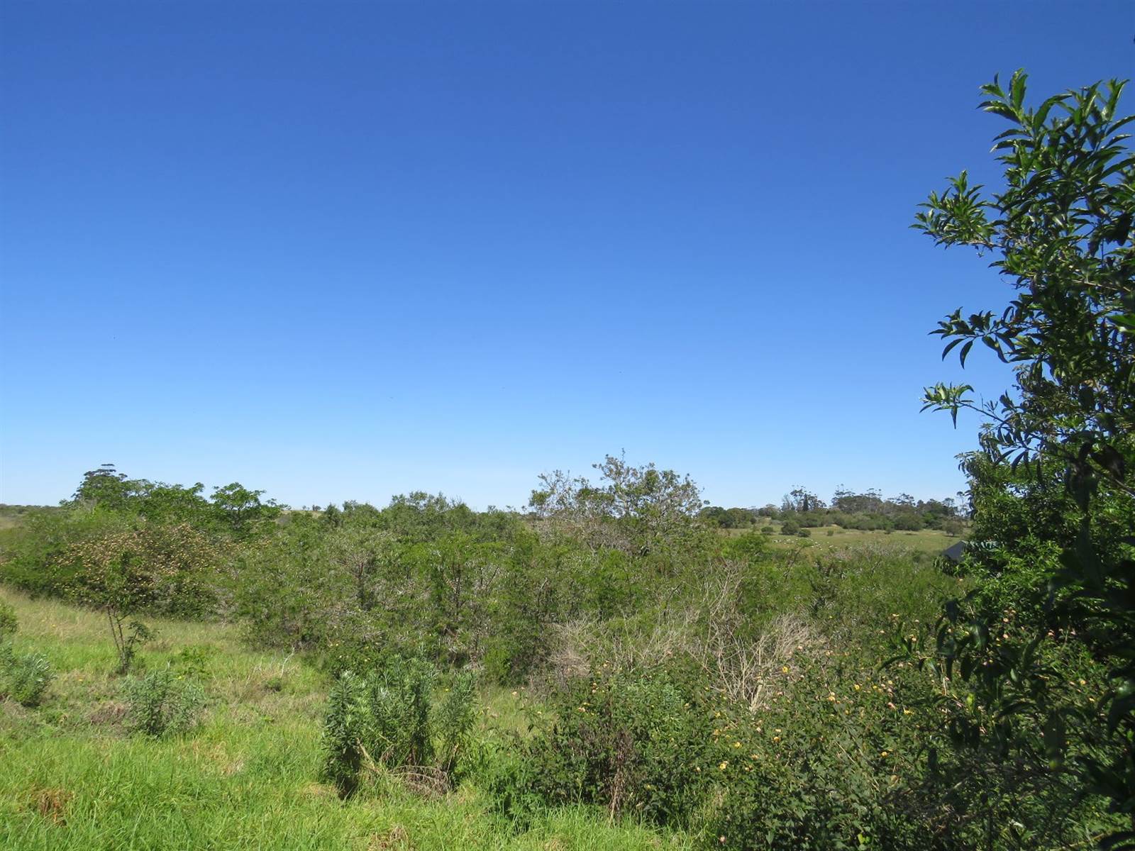 2520 m² Land available in Bathurst and Surrounds photo number 5