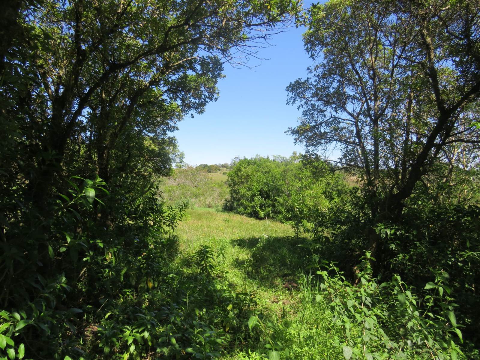 2520 m² Land available in Bathurst and Surrounds photo number 2