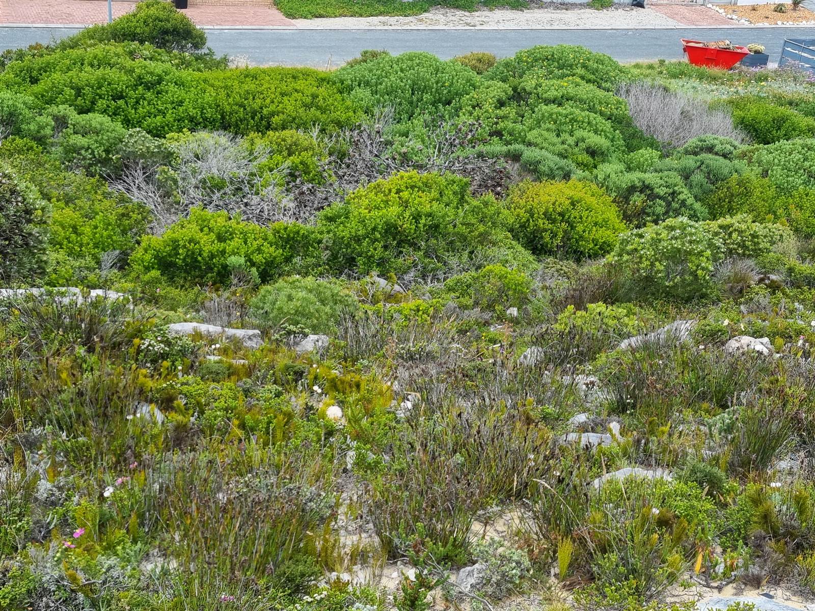 707 m² Land available in Struisbaai photo number 4