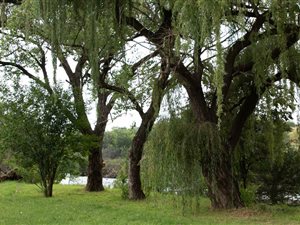 4426 m² Land available in Meyerton South
