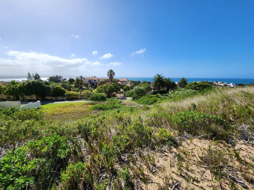 730 m² Land available in St Francis Bay photo number 4