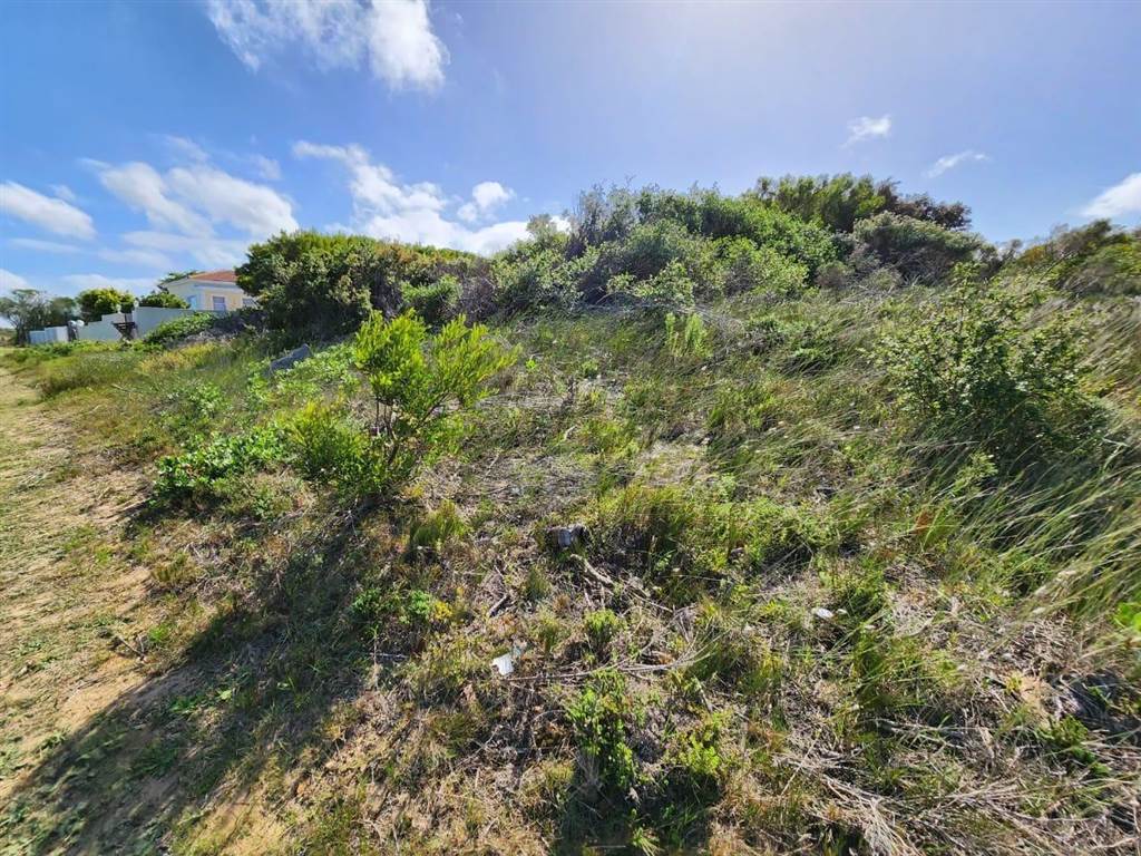 730 m² Land available in St Francis Bay photo number 7