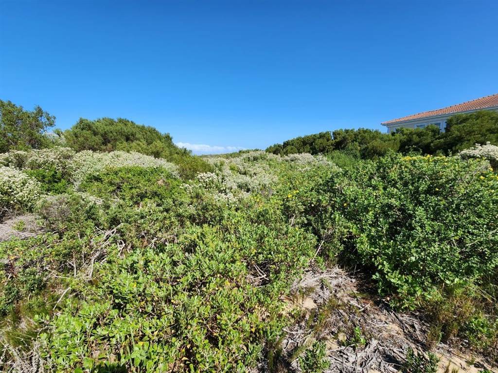 730 m² Land available in St Francis Bay photo number 8