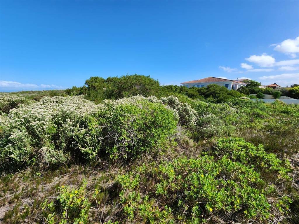 730 m² Land available in St Francis Bay photo number 5