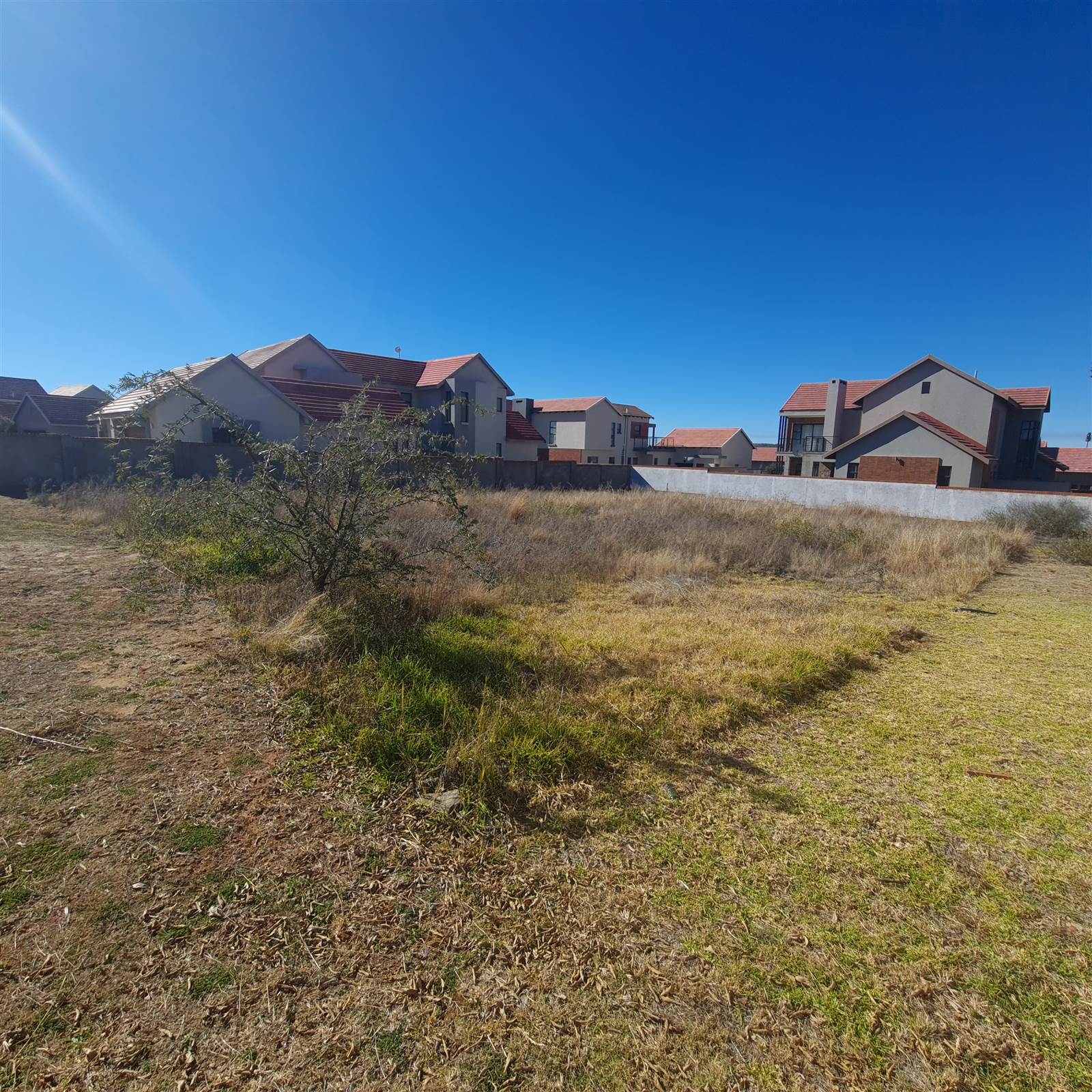 768 m² Land available in Wild Olive Estate photo number 8