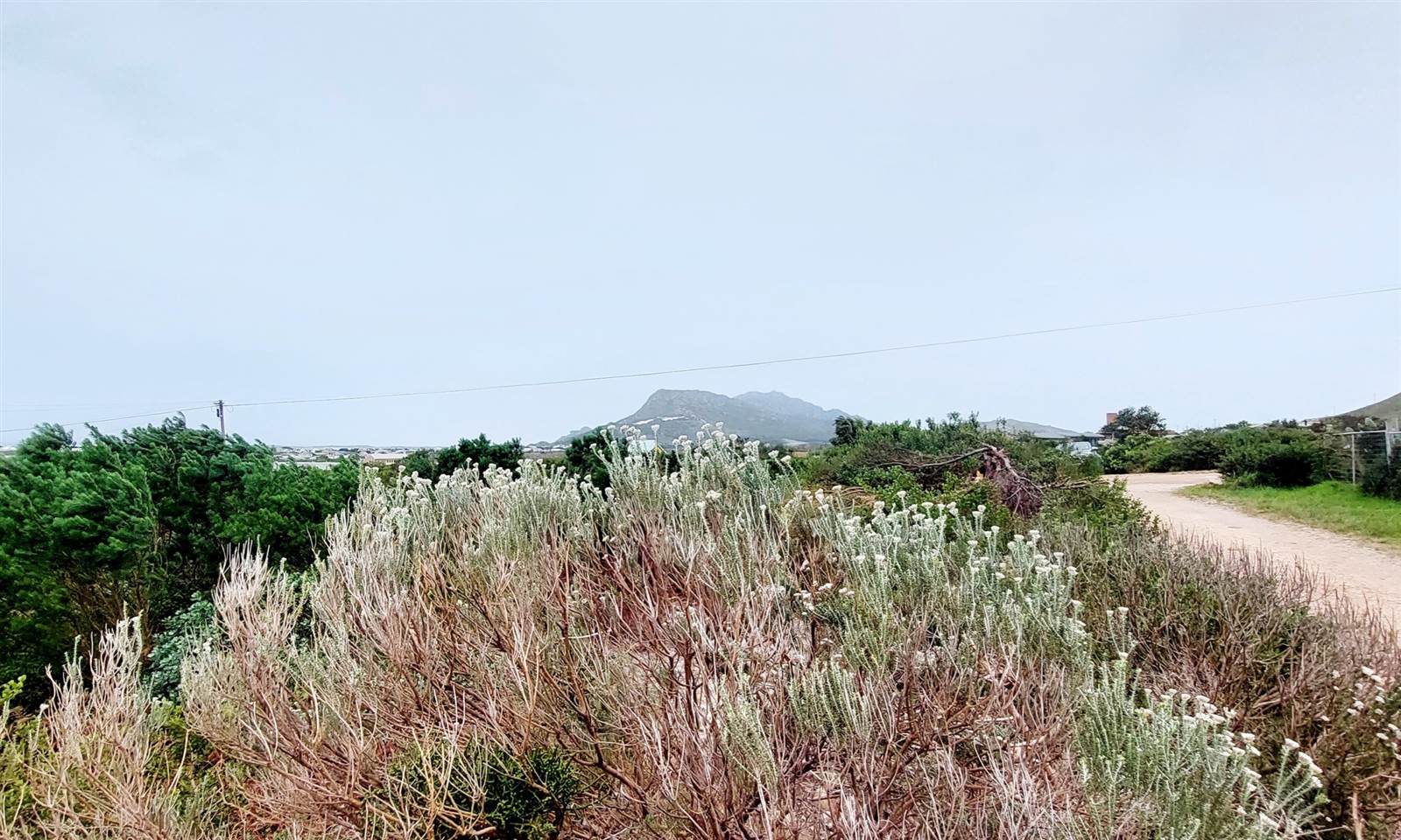 915 m² Land available in Bettys Bay photo number 6