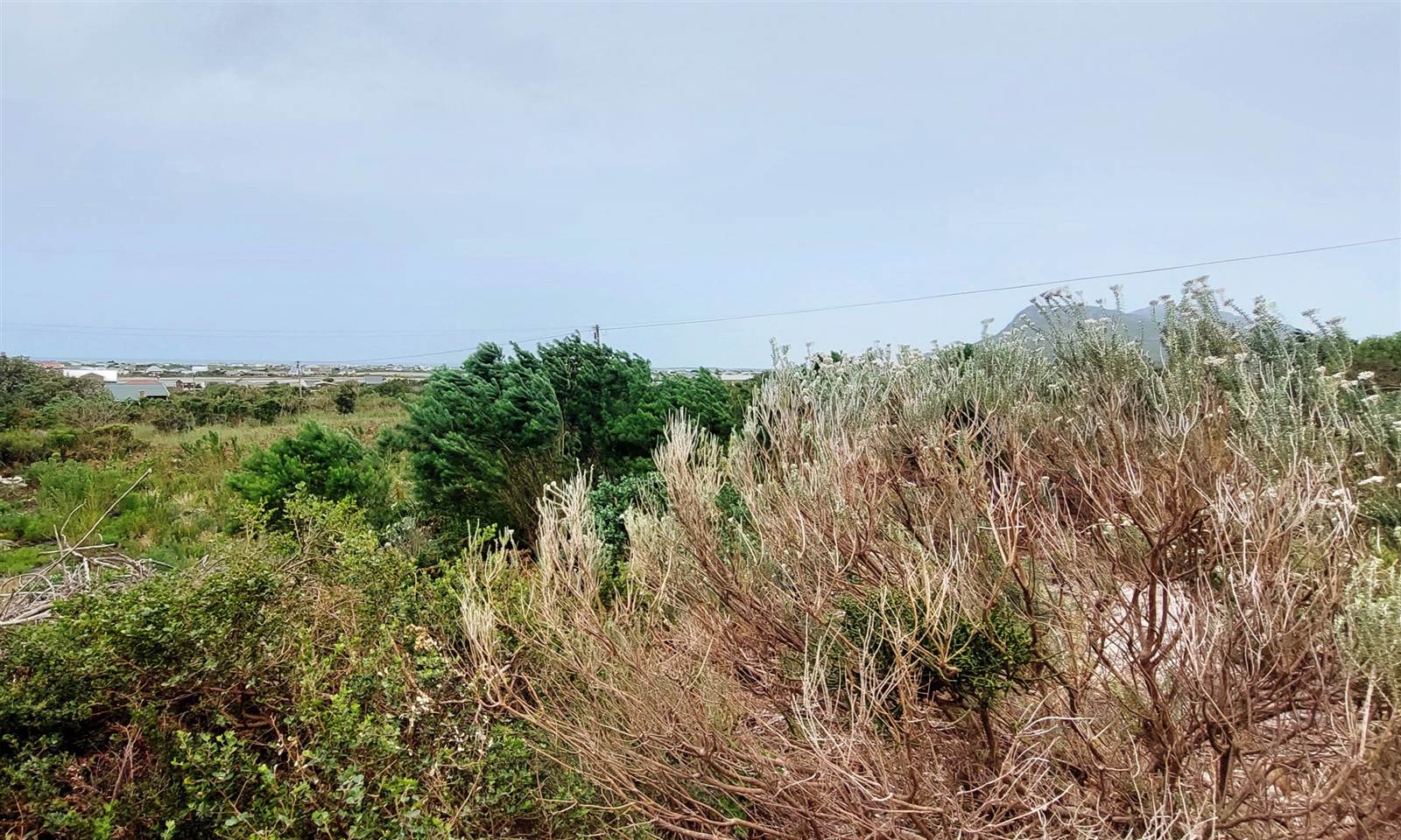 915 m² Land available in Bettys Bay photo number 7