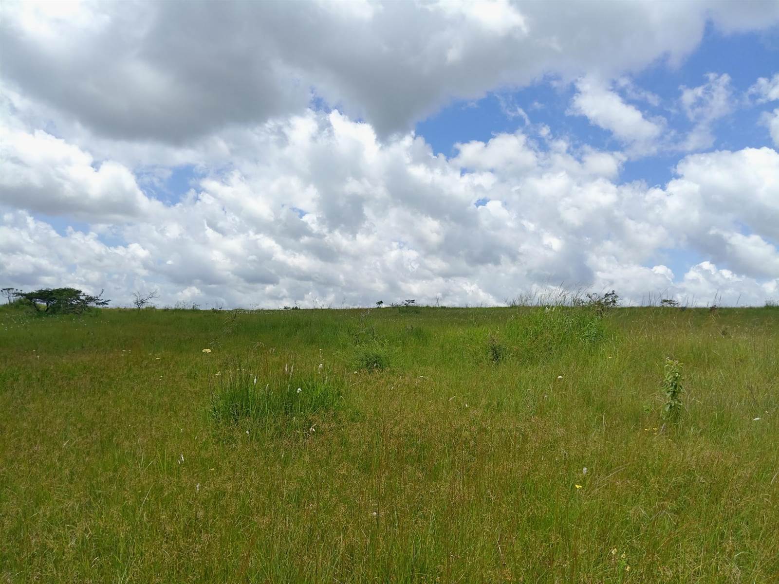 800 m² Land available in Umbumbulu photo number 2