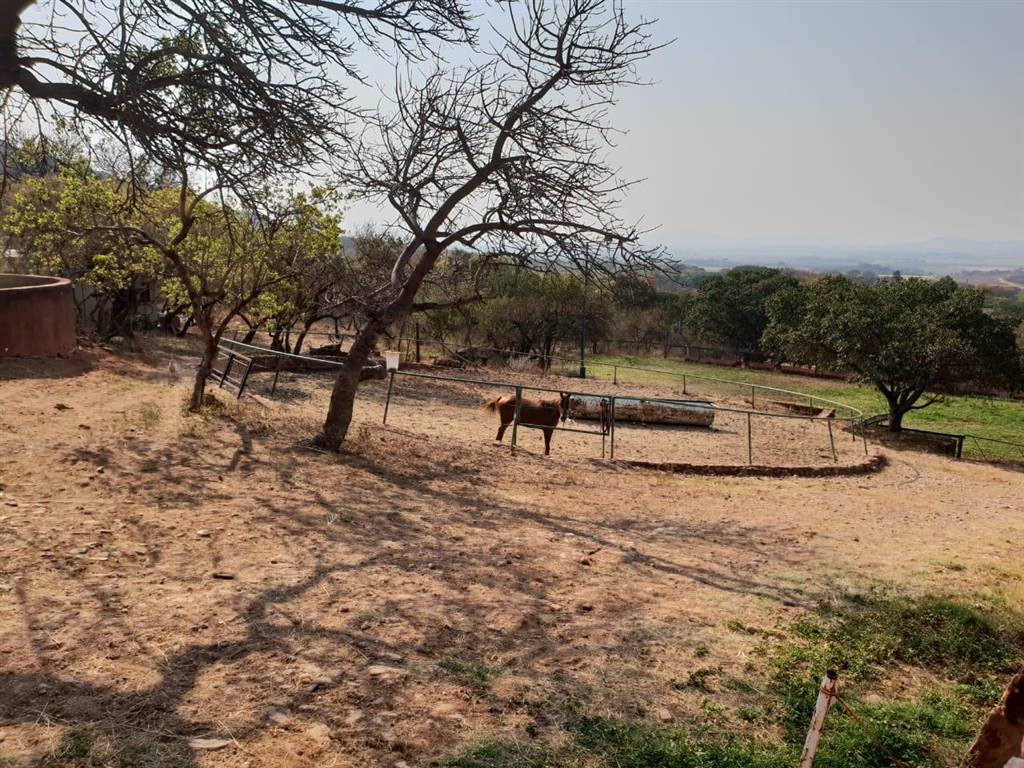 5.4 ha Farm in Zandfontein AH photo number 24