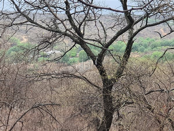 2 590 m² Land 2 590 m² Land
