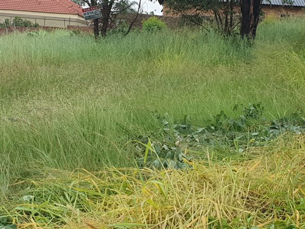 1 560 m² Land 1 560 m² Land