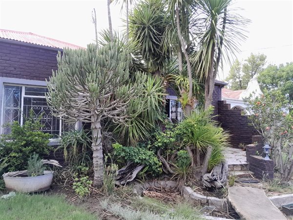 3 Bed House in Adelaide