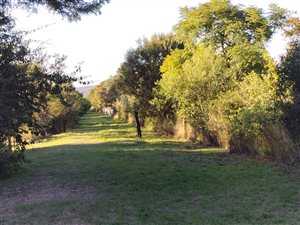 4.8 ha Farm in Strydfontein and surrounds