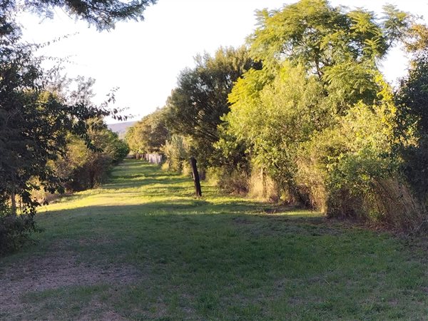 4.8 ha Farm in Strydfontein and surrounds