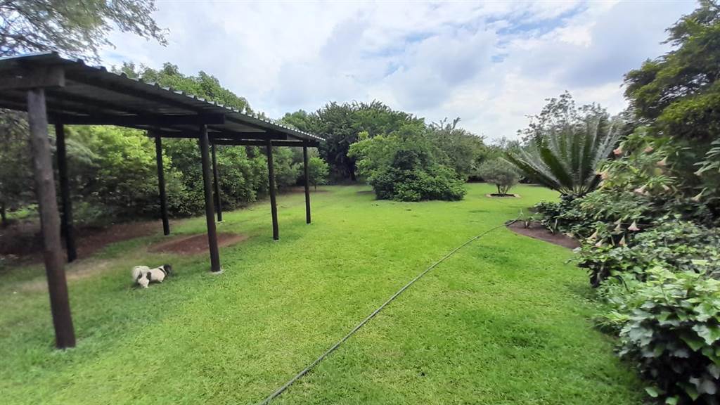 9650 m² Farm in Hartbeesfontein photo number 10