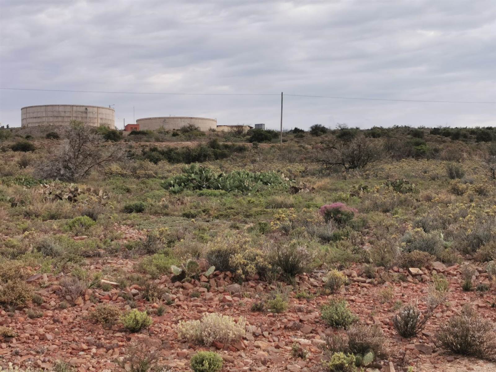 1285 m² Land available in Willowmore photo number 10