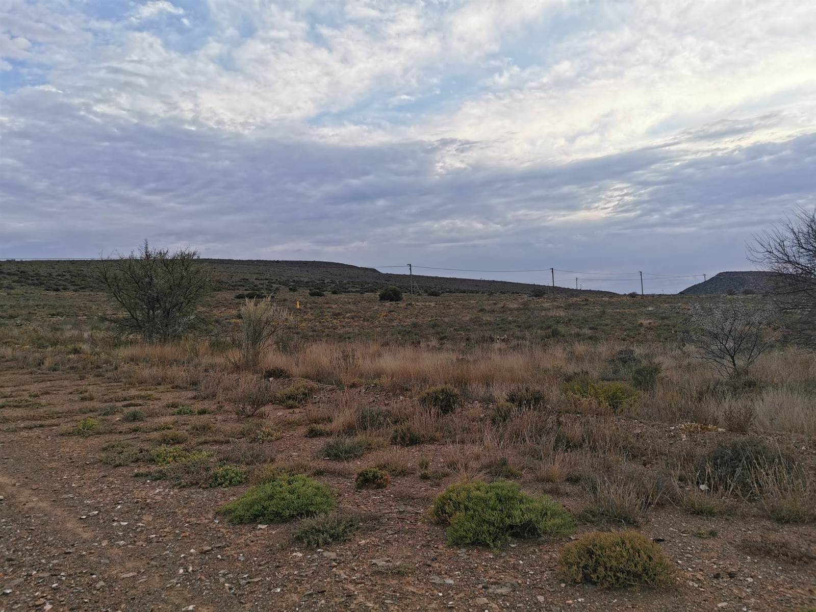 1285 m² Land available in Willowmore photo number 7
