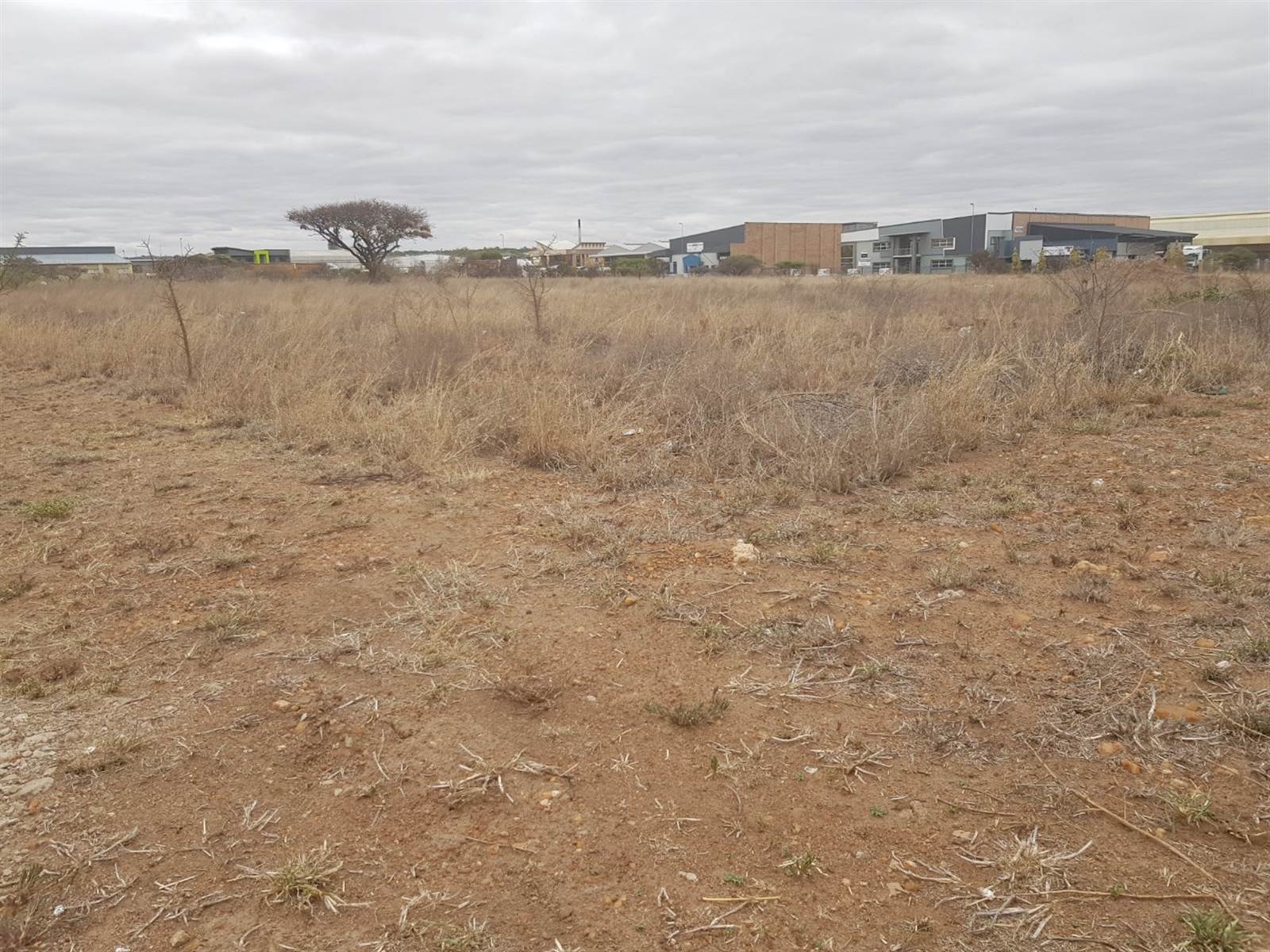 6923 m² Land available in Magna Via photo number 8