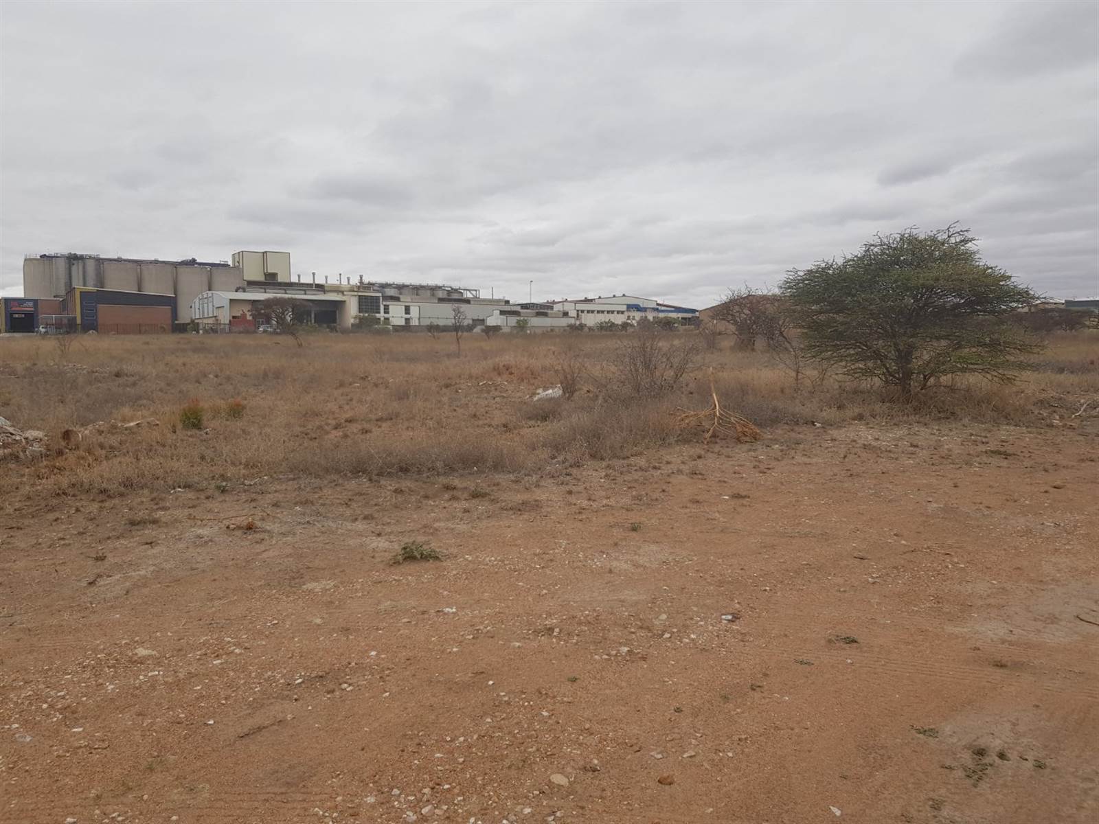 6923 m² Land available in Magna Via photo number 6