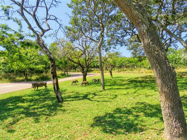 1016 m² Land available in Wild Fig Estate
