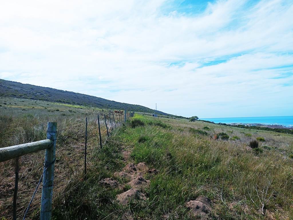 10 ha Smallholding in Agulhas photo number 20