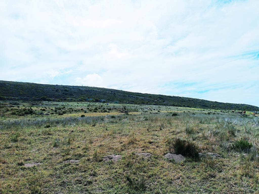 10 ha Smallholding in Agulhas photo number 13