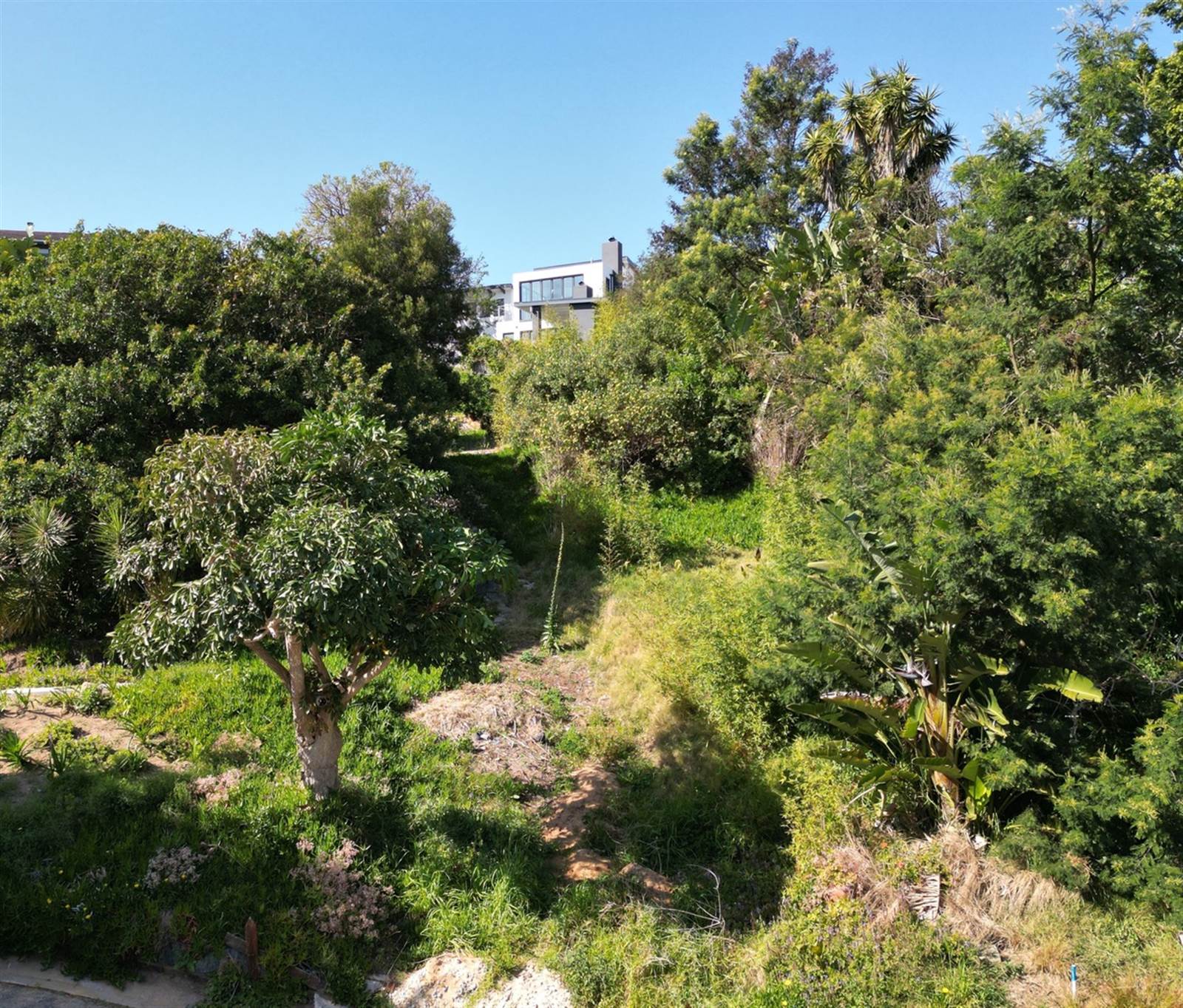 1098 m² Land available in Knysna Heights photo number 4