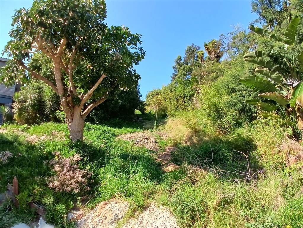 1098 m² Land available in Knysna Heights photo number 2