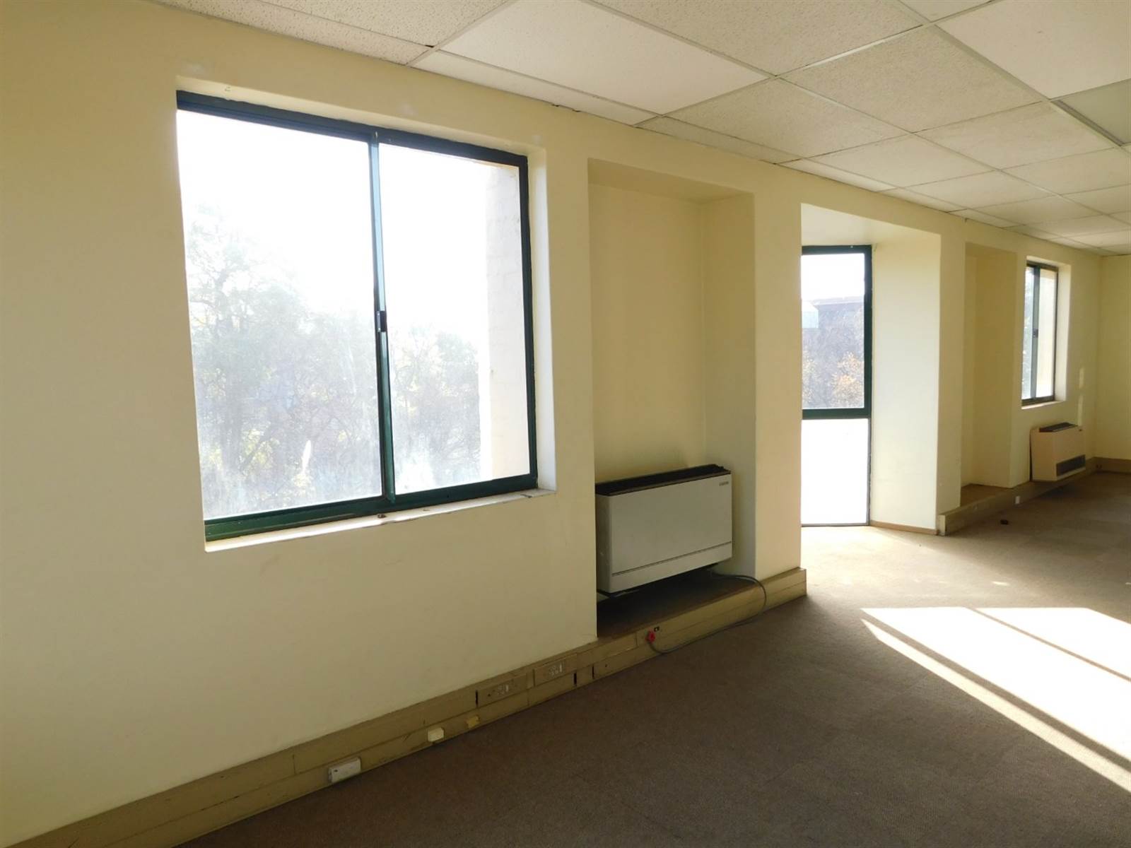 275  m² Commercial space in Randburg Central photo number 14