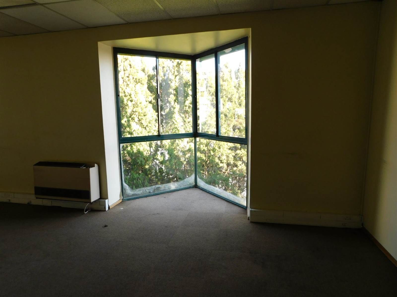 275  m² Commercial space in Randburg Central photo number 16