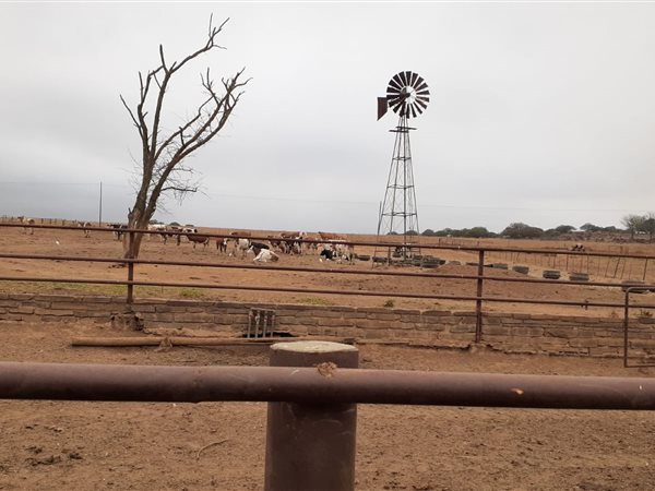 685 ha Farm 685 ha Farm