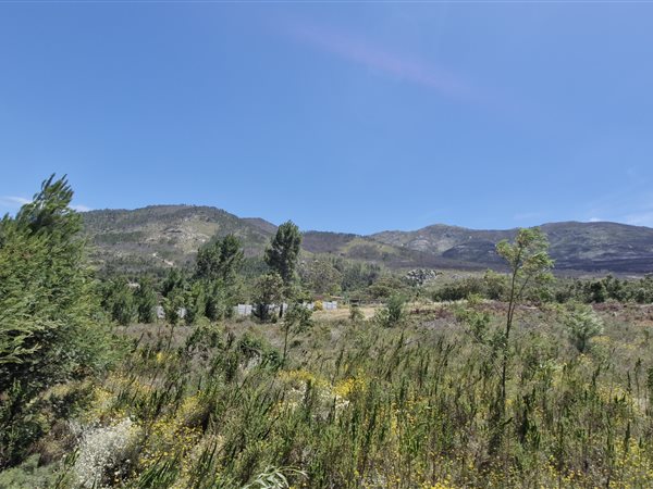 463 m² Land