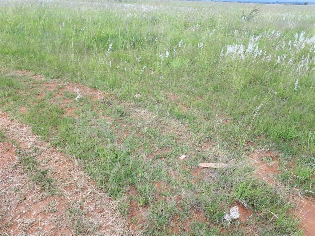 1 ha Land available in Adamayview photo number 1