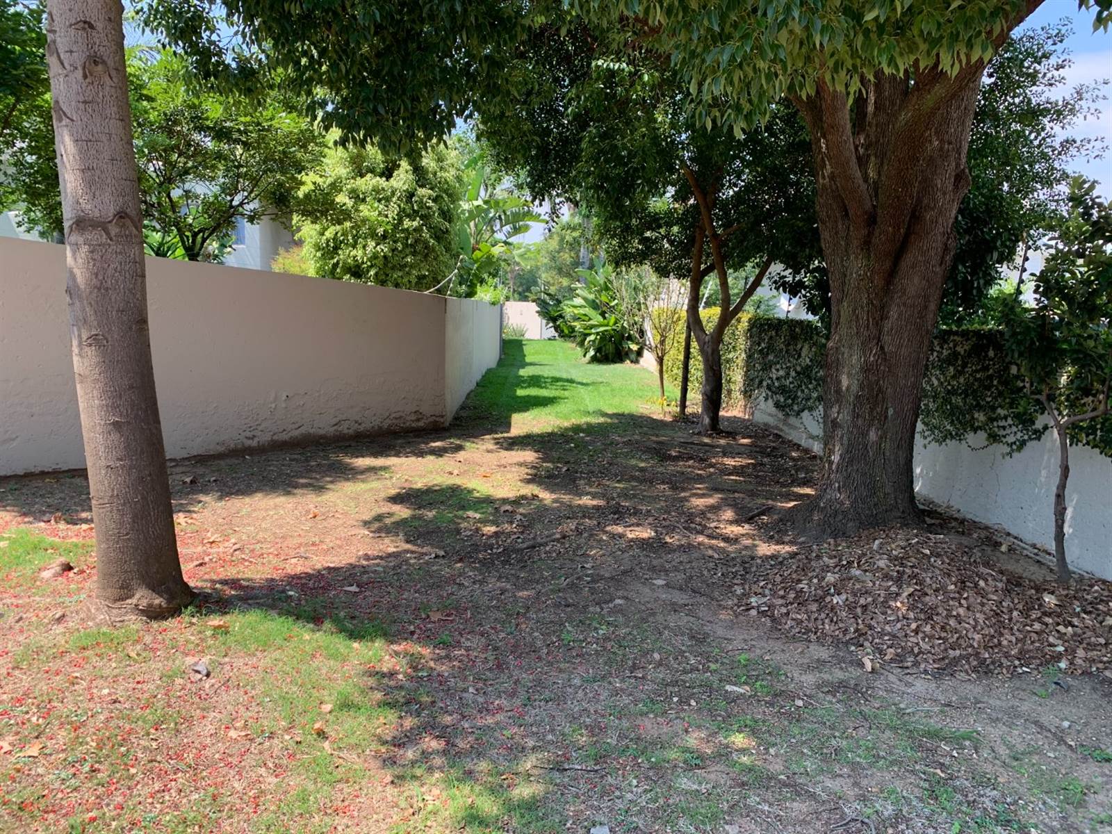 1249 m² Land available in Bryanston photo number 11