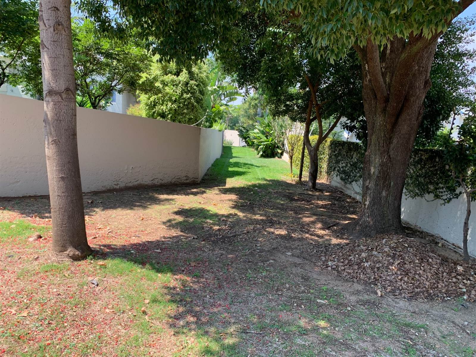 1249 m² Land available in Bryanston photo number 13