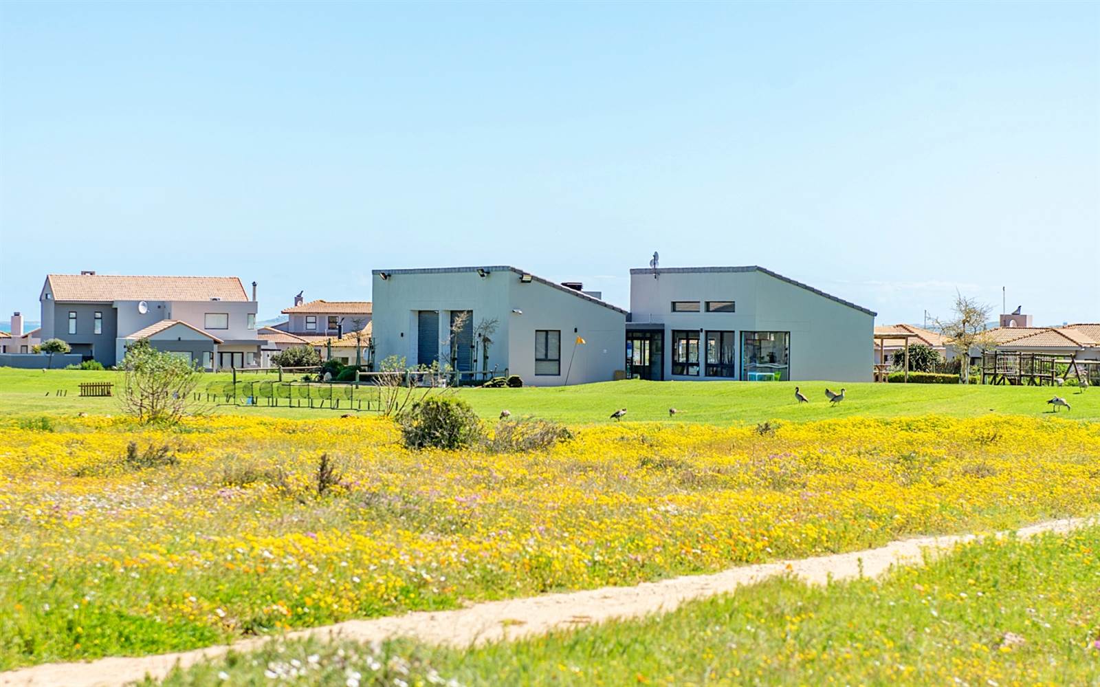 705 m² Land available in Langebaan Country Estate photo number 16