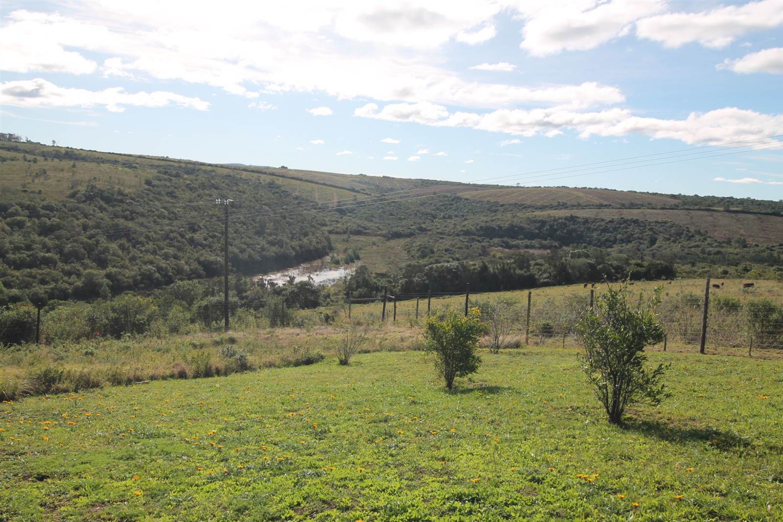 163 ha Farm in Bathurst and Surrounds photo number 1