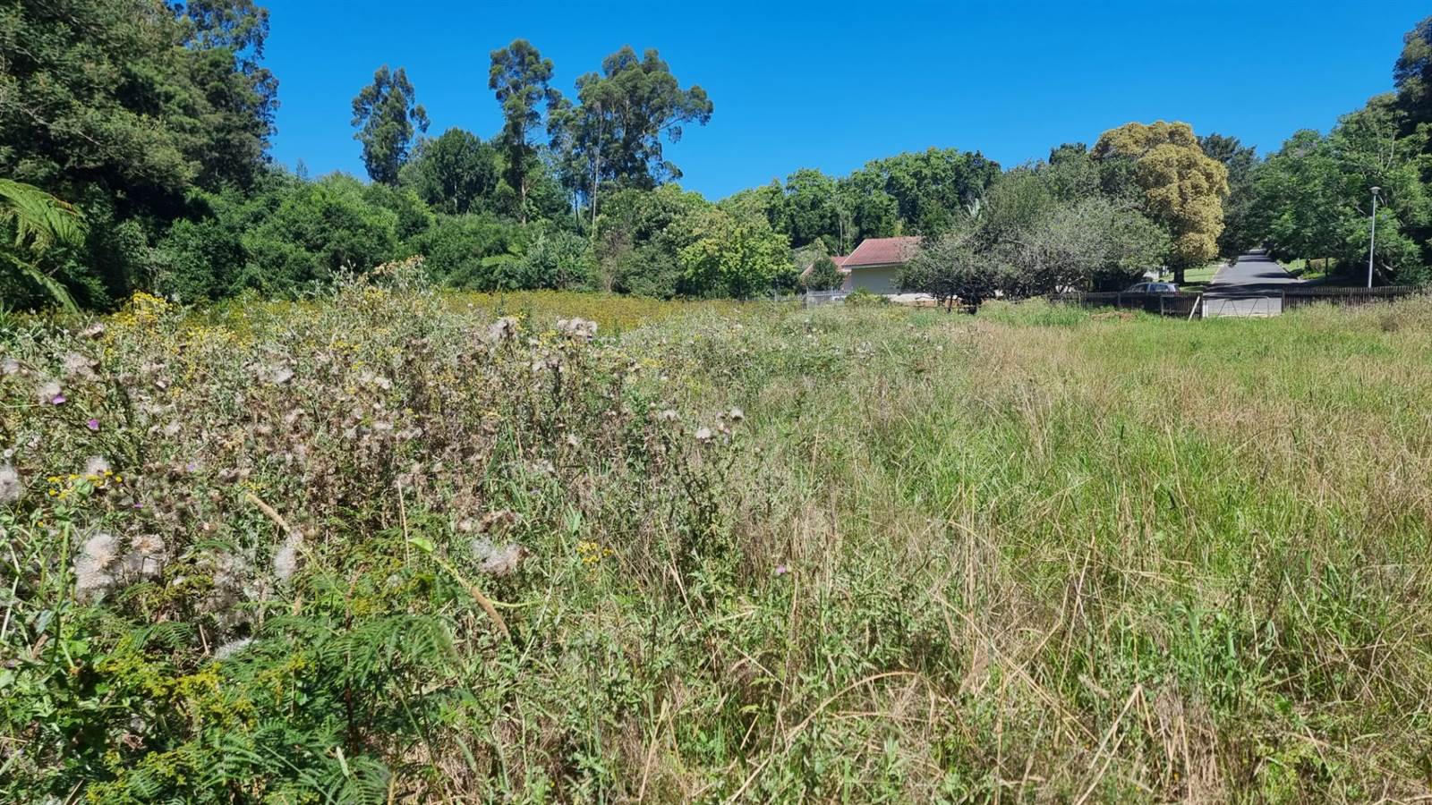 1.8 ha Land available in Heatherlands photo number 1