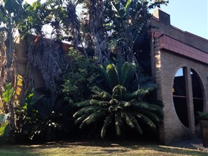 4 Bed House in Vryheid