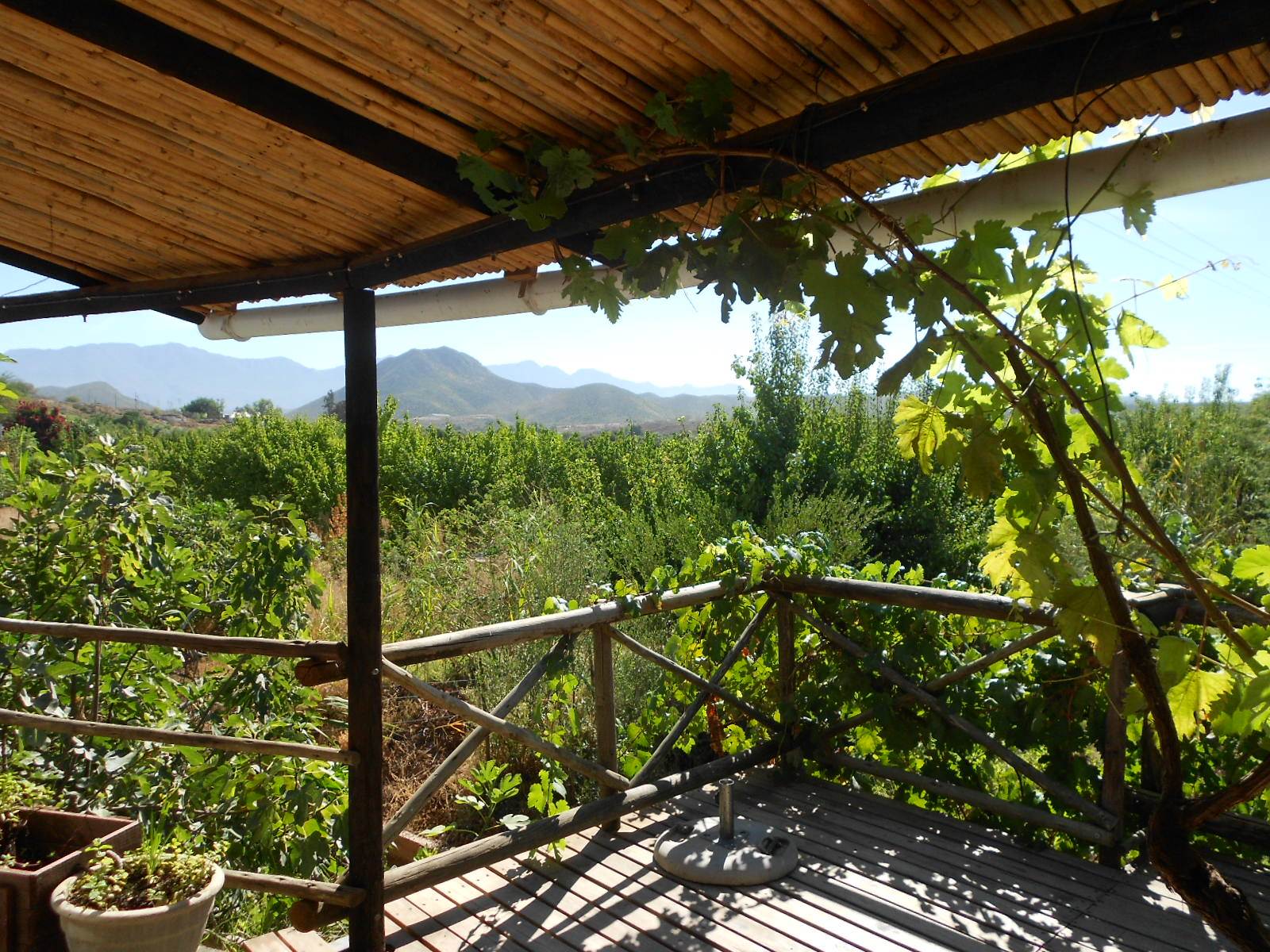 2 Bed House in Calitzdorp photo number 13