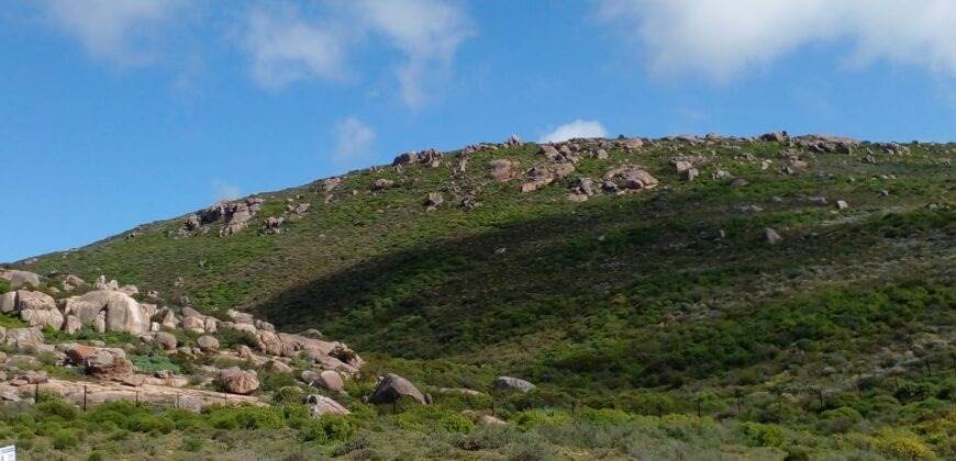 429 m² Land available in St Helena Views photo number 10