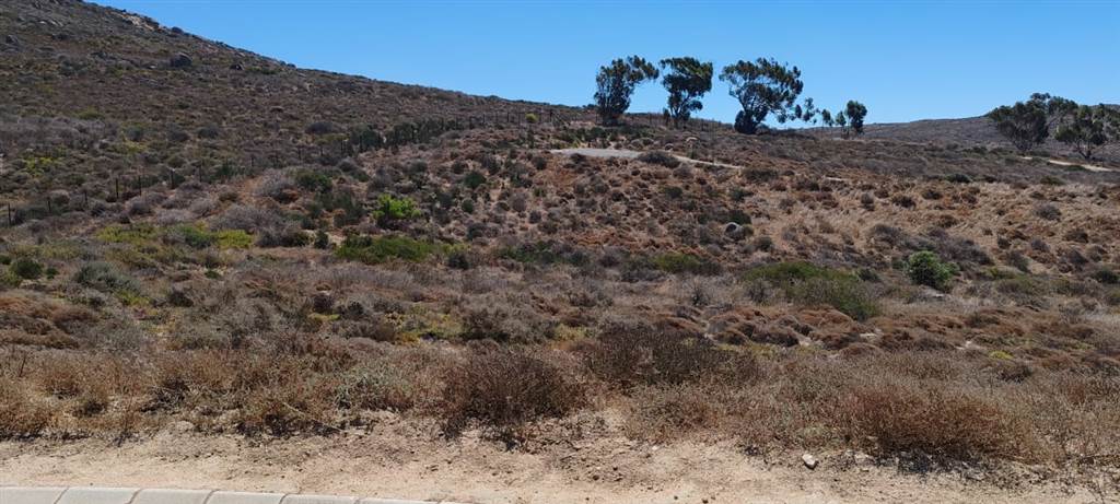 429 m² Land available in St Helena Views photo number 5
