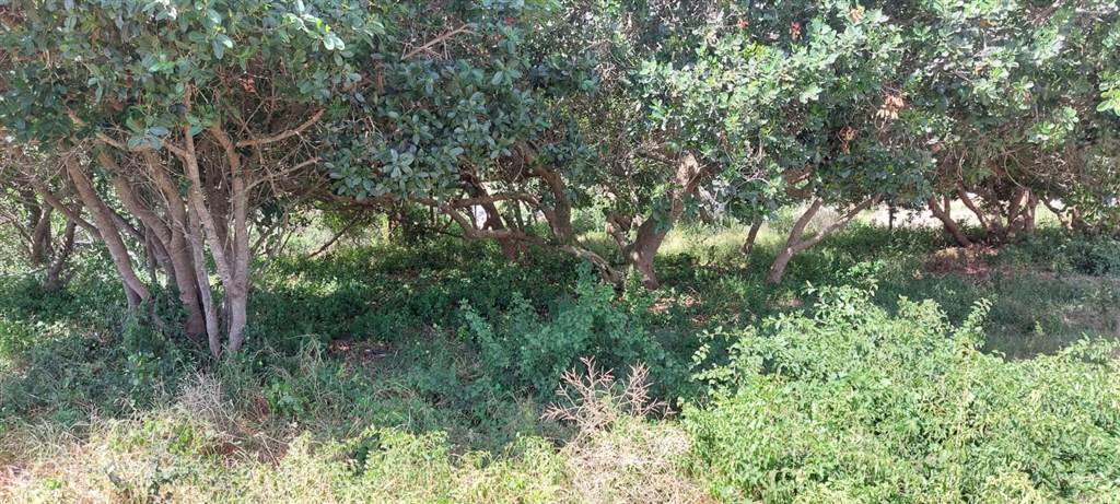 986 m² Land available in Great Brak River photo number 6